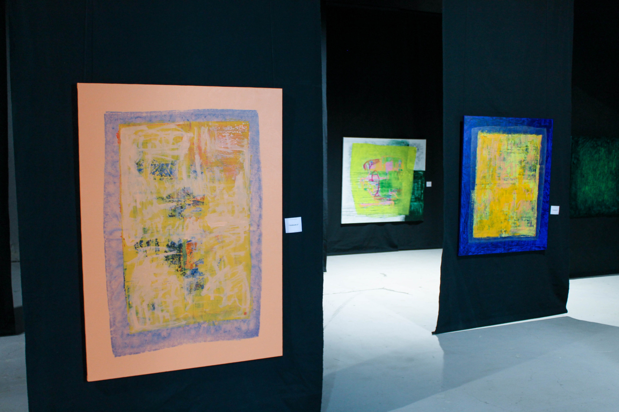 Aerial abstractions of earth and emotion